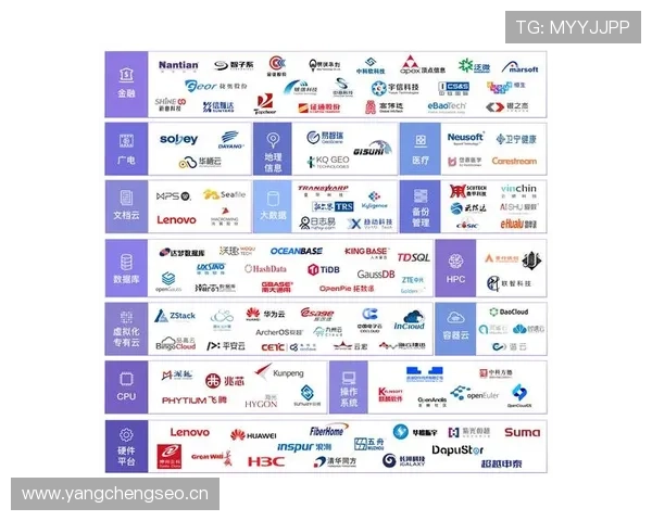 罗德里戈角色适配与体系兼容性分析