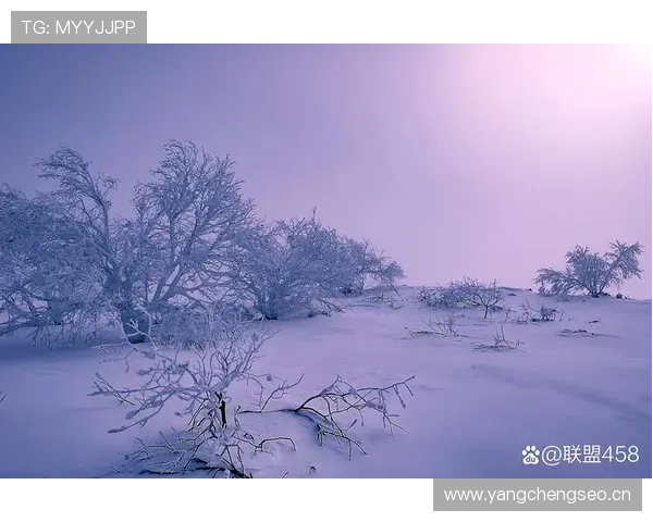 山东泰山进攻仍具威胁,效率不稳是否制约争冠形势? 山东泰山进攻仍具威胁,效率不稳是否制约争冠形势?