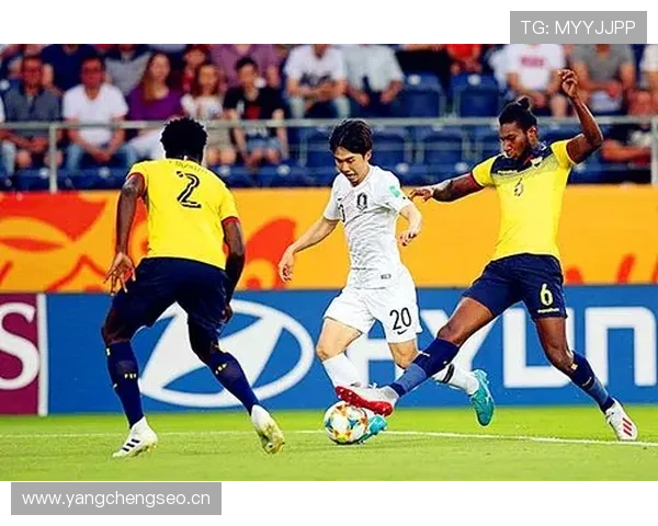 维尔茨与罗伊斯:伤病阴影下的天才轨迹对比