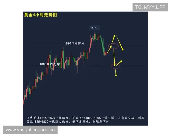 E组晋级走势全面解读